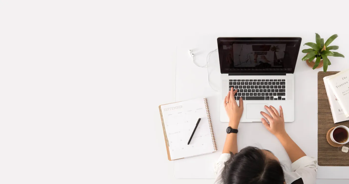 The brand illustration system